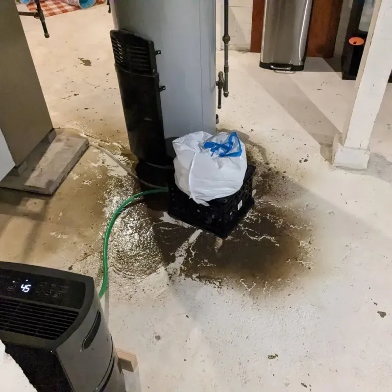 Sewage Backup Cleanup Service in Lanett, AL
